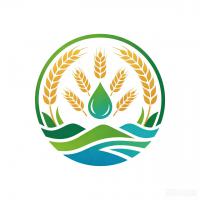 企业logo