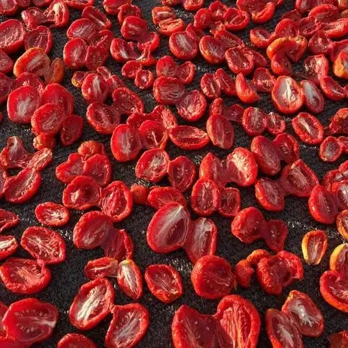 番茄干