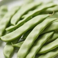 新疆棉花籽油