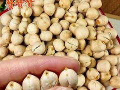 特色果脯区域代理招商