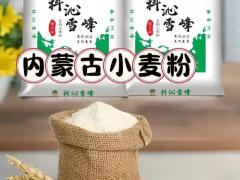 展位服务与增值项目